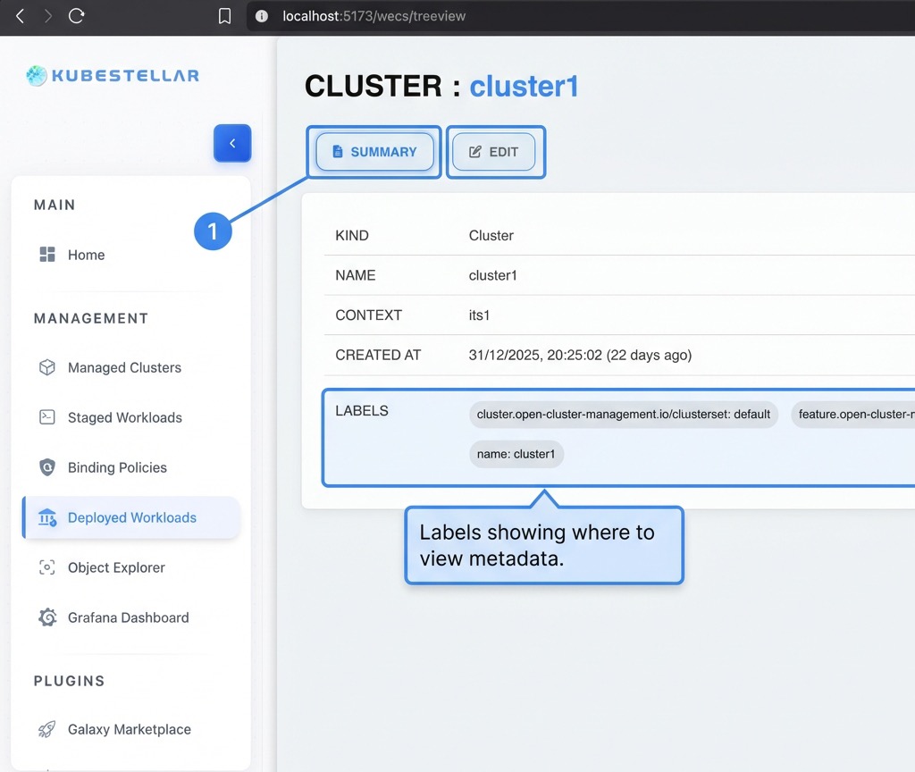 Cluster Summary